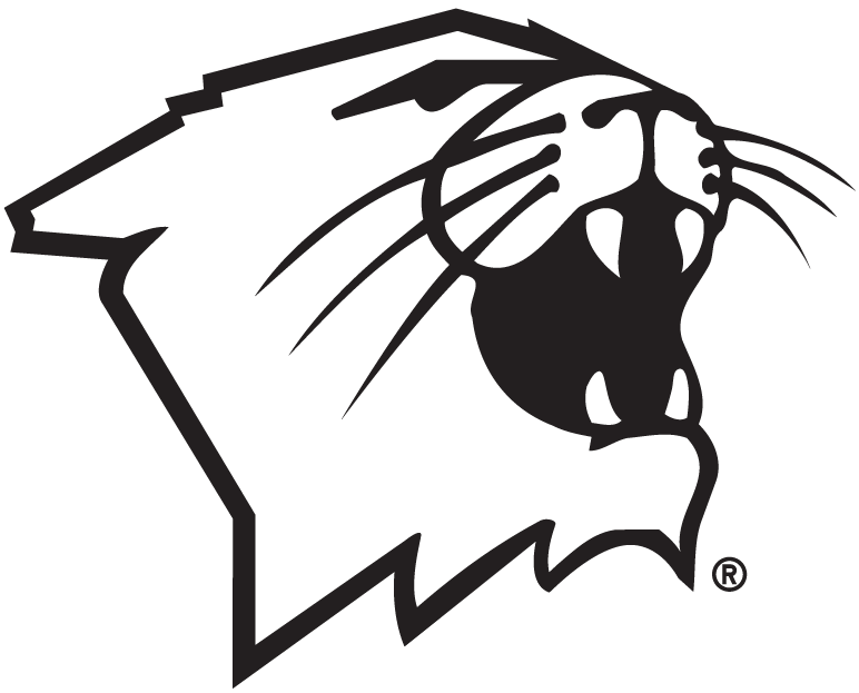 Northwestern Wildcats 1981-Pres Partial Logo t shirts DIY iron ons v2